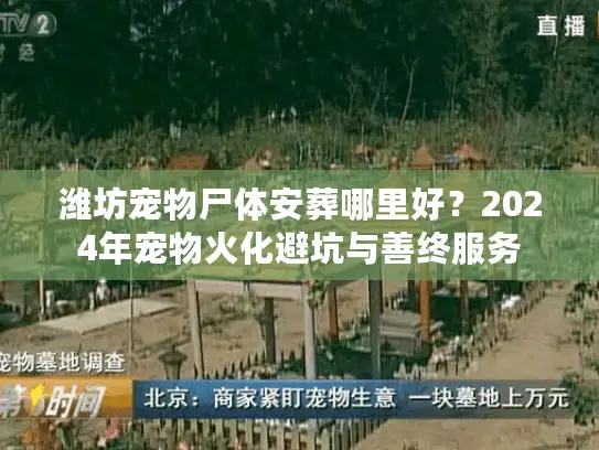 潍坊宠物尸体安葬哪里好？2024年宠物火化避坑与善终服务