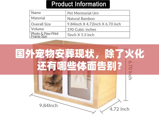 国外宠物安葬现状，除了火化还有哪些体面告别？