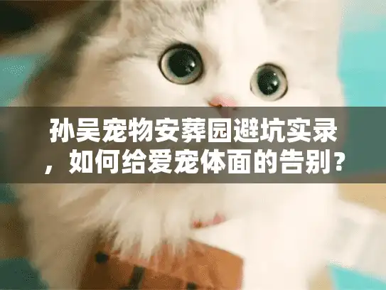 孙吴宠物安葬园避坑实录，如何给爱宠体面的告别？
