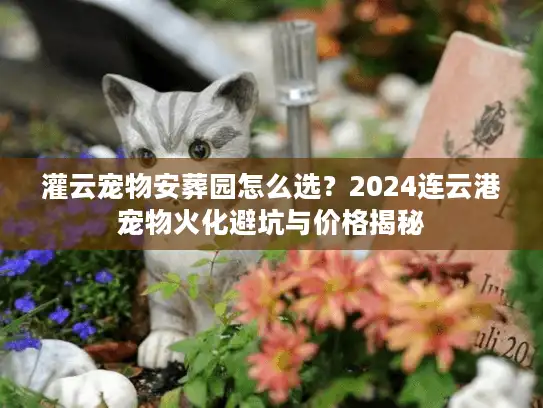 灌云宠物安葬园怎么选？2024连云港宠物火化避坑与价格揭秘