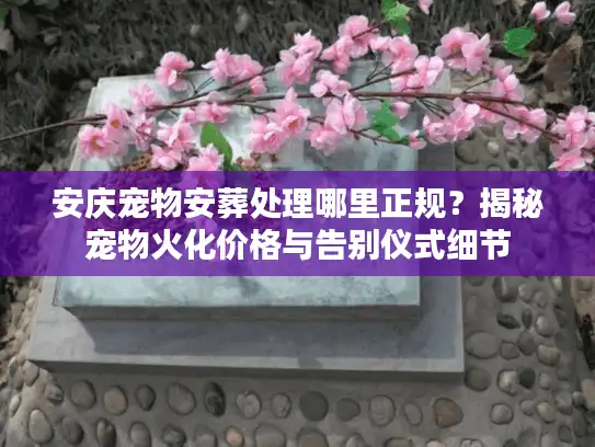 安庆宠物安葬处理哪里正规？揭秘宠物火化价格与告别仪式细节