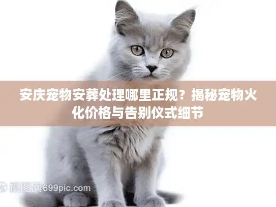 安庆宠物安葬处理哪里正规？揭秘宠物火化价格与告别仪式细节