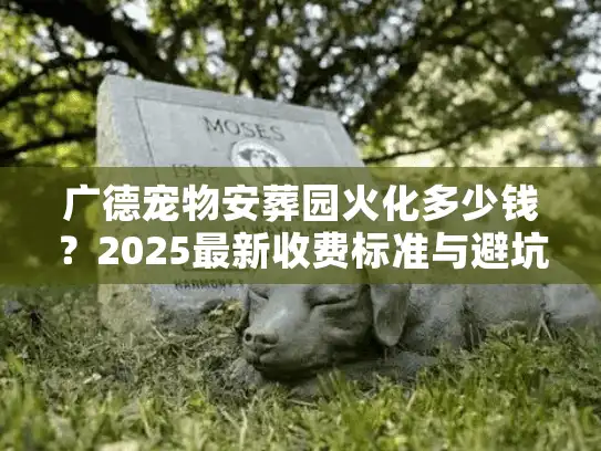 广德宠物安葬园火化多少钱？2025最新收费标准与避坑建议