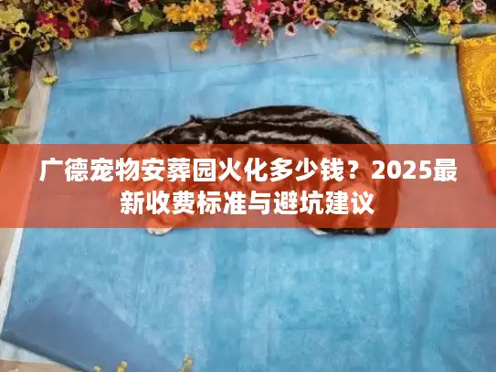广德宠物安葬园火化多少钱？2025最新收费标准与避坑建议