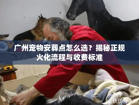 广州宠物安葬点怎么选？揭秘正规火化流程与收费标准
