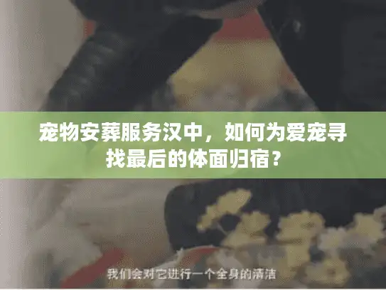 宠物安葬服务汉中，如何为爱宠寻找最后的体面归宿？