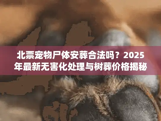 北票宠物尸体安葬合法吗？2025年最新无害化处理与树葬价格揭秘