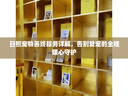日照宠物善终服务详解，告别爱宠的全程暖心守护