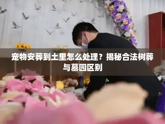 宠物安葬到土里怎么处理？揭秘合法树葬与墓园区别