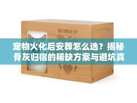 宠物火化后安葬怎么选？揭秘骨灰归宿的稀缺方案与避坑真相