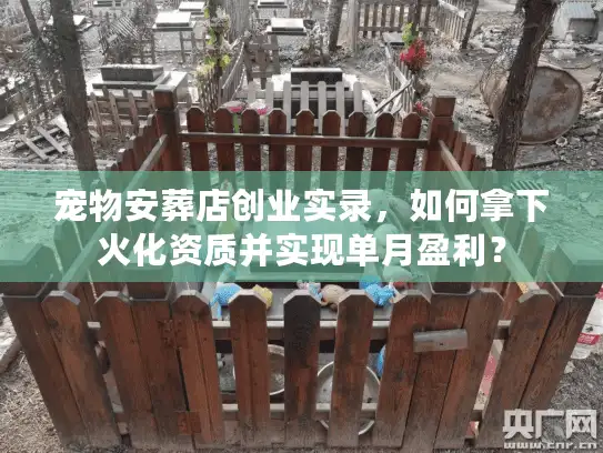 宠物安葬店创业实录，如何拿下火化资质并实现单月盈利？