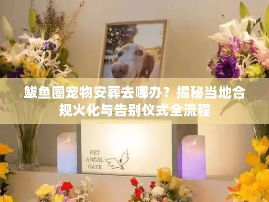 鲅鱼圈宠物安葬去哪办？揭秘当地合规火化与告别仪式全流程
