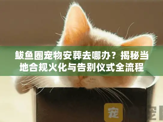鲅鱼圈宠物安葬去哪办？揭秘当地合规火化与告别仪式全流程