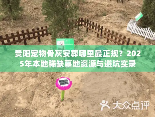 贵阳宠物骨灰安葬哪里最正规？2025年本地稀缺墓地资源与避坑实录