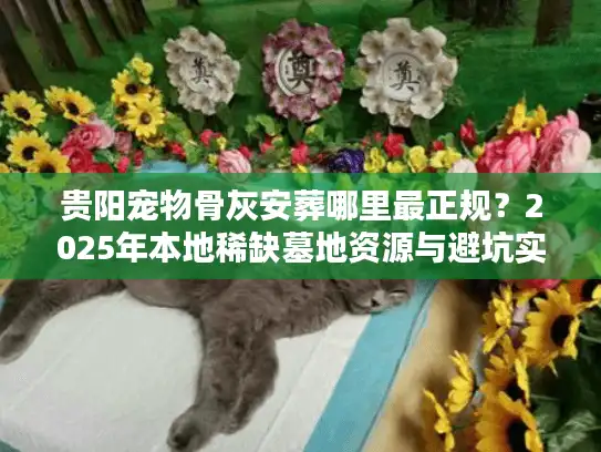 贵阳宠物骨灰安葬哪里最正规？2025年本地稀缺墓地资源与避坑实录