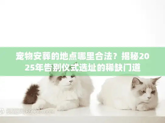 宠物安葬的地点哪里合法？揭秘2025年告别仪式选址的稀缺门道