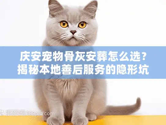 庆安宠物骨灰安葬怎么选？揭秘本地善后服务的隐形坑与正规流程