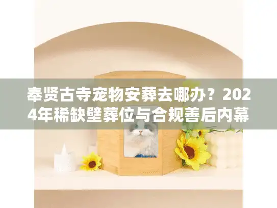 奉贤古寺宠物安葬去哪办？2024年稀缺壁葬位与合规善后内幕
