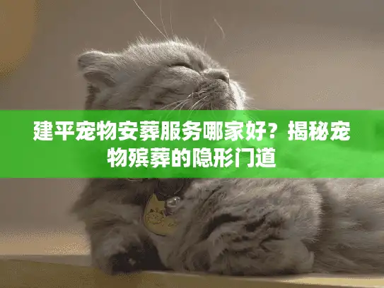 建平宠物安葬服务哪家好？揭秘宠物殡葬的隐形门道