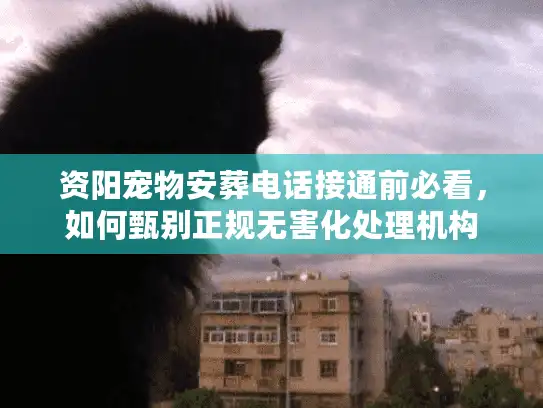 资阳宠物安葬电话接通前必看，如何甄别正规无害化处理机构