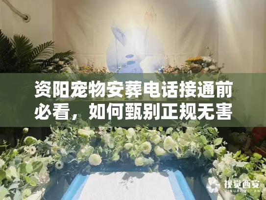资阳宠物安葬电话接通前必看，如何甄别正规无害化处理机构