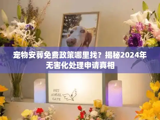 宠物安葬免费政策哪里找？揭秘2024年无害化处理申请真相