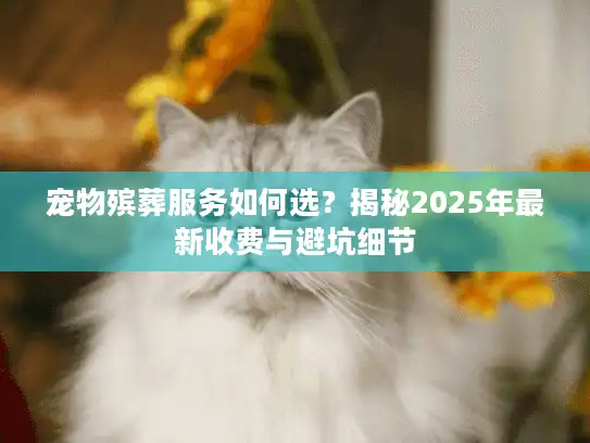 宠物殡葬服务如何选？揭秘2025年最新收费与避坑细节