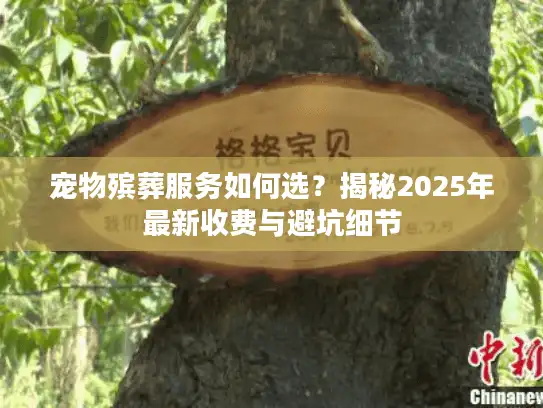 宠物殡葬服务如何选？揭秘2025年最新收费与避坑细节