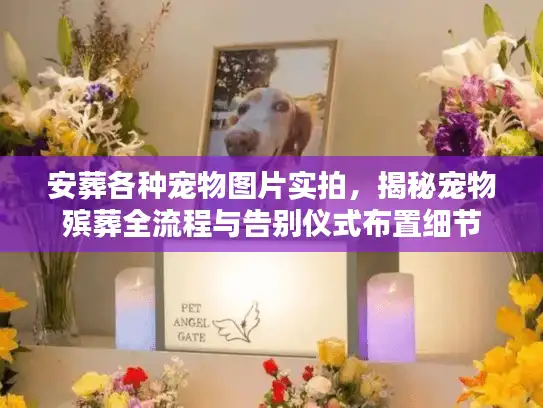 安葬各种宠物图片实拍，揭秘宠物殡葬全流程与告别仪式布置细节