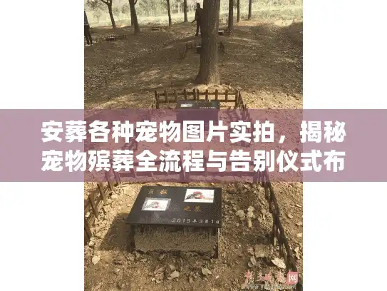 安葬各种宠物图片实拍，揭秘宠物殡葬全流程与告别仪式布置细节