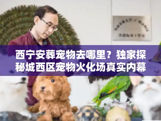 西宁安葬宠物去哪里？独家探秘城西区宠物火化场真实内幕