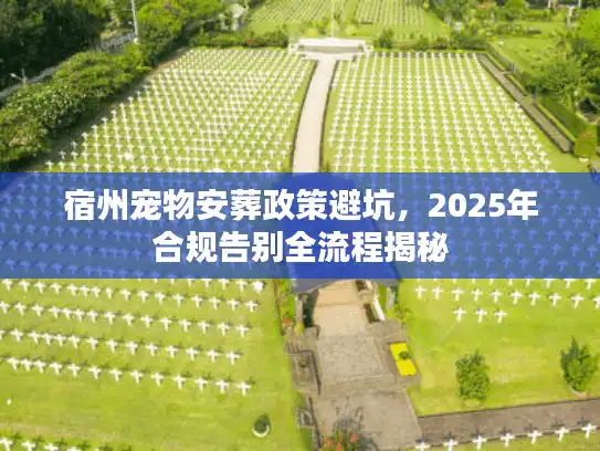 宿州宠物安葬政策避坑，2025年合规告别全流程揭秘