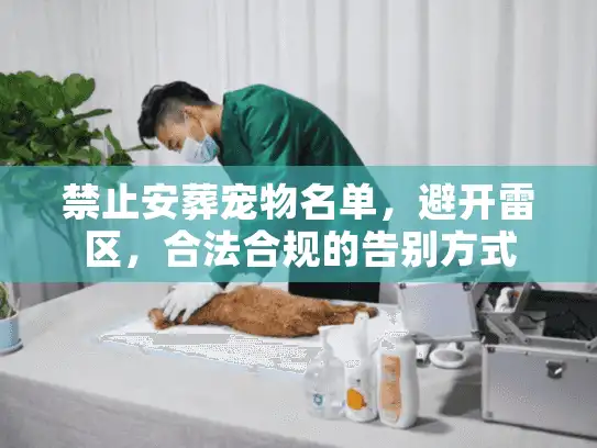 禁止安葬宠物名单，避开雷区，合法合规的告别方式