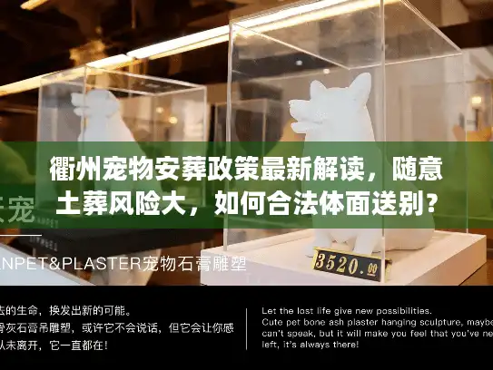 衢州宠物安葬政策最新解读，随意土葬风险大，如何合法体面送别？