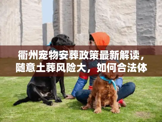 衢州宠物安葬政策最新解读，随意土葬风险大，如何合法体面送别？