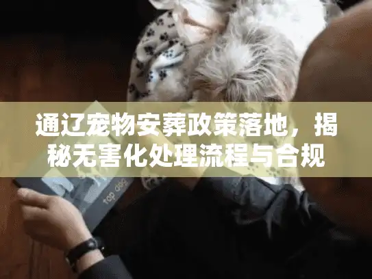 通辽宠物安葬政策落地，揭秘无害化处理流程与合规告别仪式