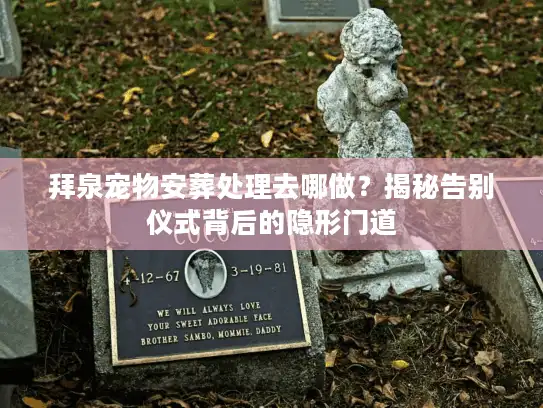 拜泉宠物安葬处理去哪做？揭秘告别仪式背后的隐形门道