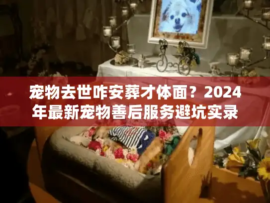 宠物去世咋安葬才体面？2024年最新宠物善后服务避坑实录