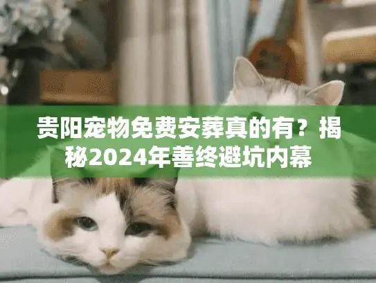 贵阳宠物免费安葬真的有？揭秘2024年善终避坑内幕