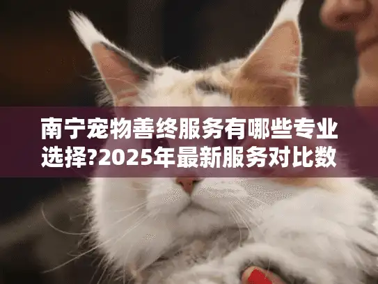 南宁宠物善终服务有哪些专业选择?2025年最新服务对比数据来了