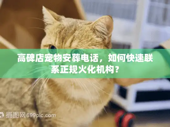 高碑店宠物安葬电话，如何快速联系正规火化机构？