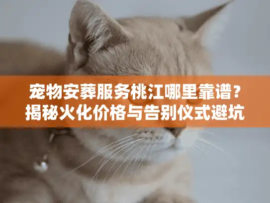 宠物安葬服务桃江哪里靠谱？揭秘火化价格与告别仪式避坑术
