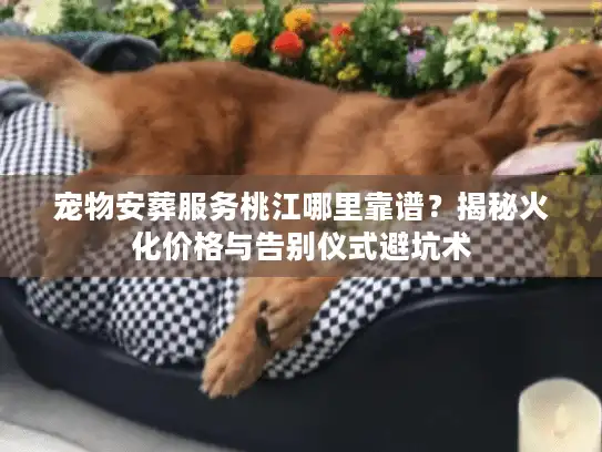 宠物安葬服务桃江哪里靠谱？揭秘火化价格与告别仪式避坑术
