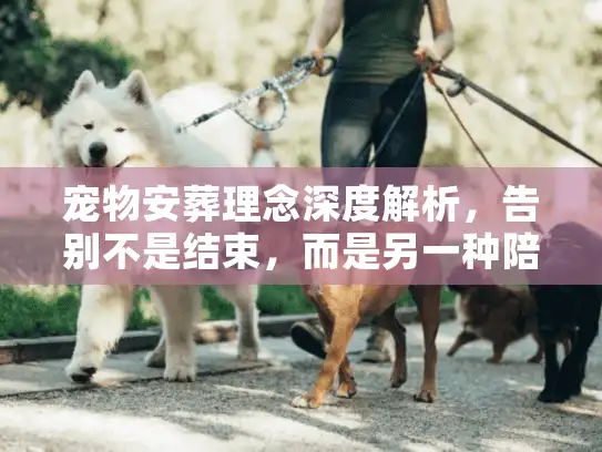 宠物安葬理念深度解析，告别不是结束，而是另一种陪伴