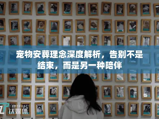 宠物安葬理念深度解析，告别不是结束，而是另一种陪伴