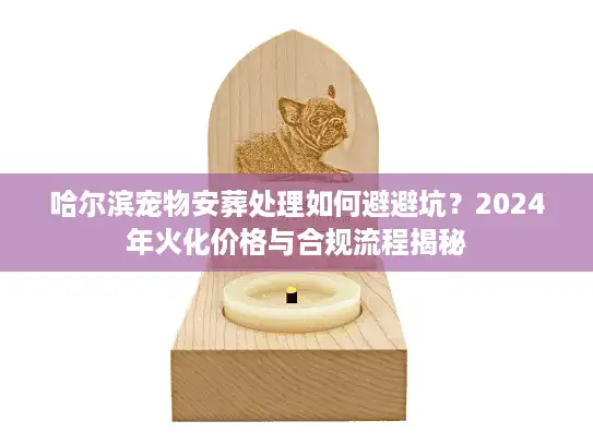 哈尔滨宠物安葬处理如何避避坑？2024年火化价格与合规流程揭秘