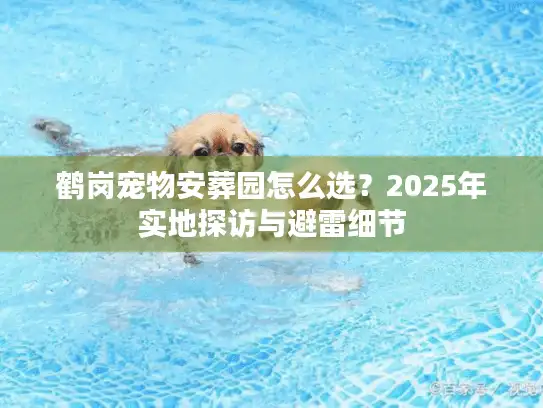 鹤岗宠物安葬园怎么选？2025年实地探访与避雷细节