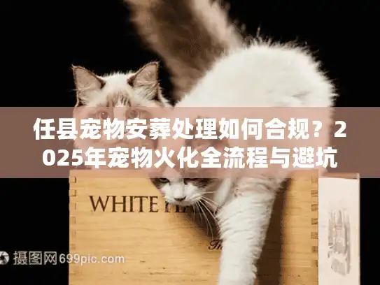 任县宠物安葬处理如何合规？2025年宠物火化全流程与避坑实策