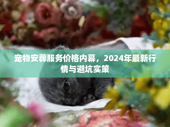 宠物安葬服务价格内幕，2024年最新行情与避坑实策