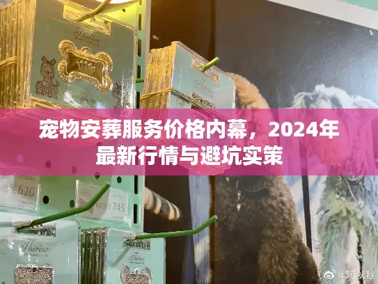宠物安葬服务价格内幕，2024年最新行情与避坑实策